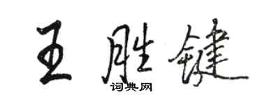 駱恆光王胜鍵行書個性簽名怎么寫