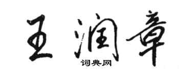 駱恆光王潤章行書個性簽名怎么寫