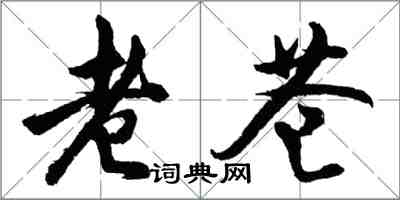 胡問遂老蒼行書怎么寫