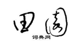 梁錦英田園草書個性簽名怎么寫