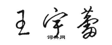 駱恆光王宇蕾草書個性簽名怎么寫