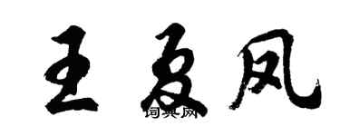 胡問遂王夏鳳行書個性簽名怎么寫