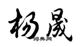 胡問遂楊晟行書個性簽名怎么寫