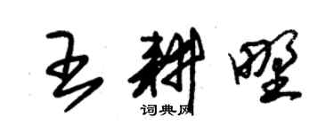 朱錫榮王耕野草書個性簽名怎么寫