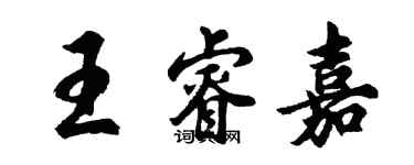 胡問遂王睿嘉行書個性簽名怎么寫