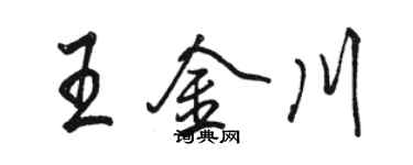 駱恆光王金川行書個性簽名怎么寫