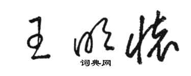 駱恆光王明懷草書個性簽名怎么寫