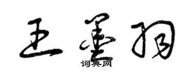 曾慶福王墨羽草書個性簽名怎么寫