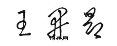 駱恆光王開昂草書個性簽名怎么寫