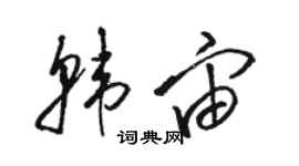 駱恆光韓宙草書個性簽名怎么寫