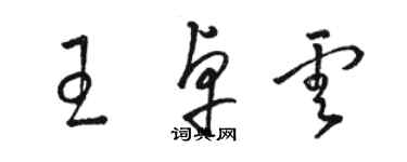 駱恆光王卓雲草書個性簽名怎么寫