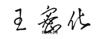 駱恆光王密化草書個性簽名怎么寫