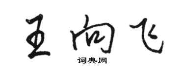 駱恆光王向飛行書個性簽名怎么寫