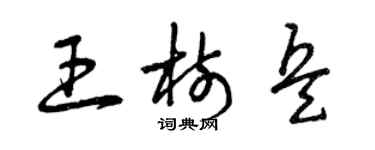 曾慶福王樹兵草書個性簽名怎么寫