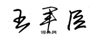 朱錫榮王軍臣草書個性簽名怎么寫