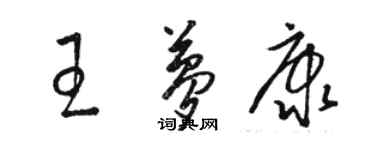 駱恆光王夢康草書個性簽名怎么寫