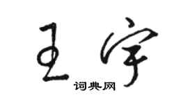 駱恆光王宇草書個性簽名怎么寫