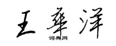 王正良王華洋行書個性簽名怎么寫