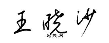 梁錦英王曉沙草書個性簽名怎么寫