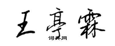 王正良王亭霖行書個性簽名怎么寫