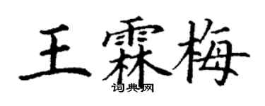 丁謙王霖梅楷書個性簽名怎么寫