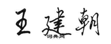駱恆光王建朝行書個性簽名怎么寫