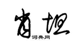 朱錫榮肖坦草書個性簽名怎么寫
