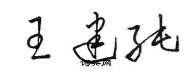 駱恆光王建純草書個性簽名怎么寫