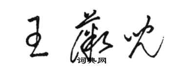 駱恆光王薇兒草書個性簽名怎么寫