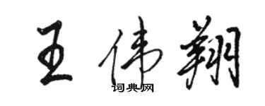 駱恆光王偉翔行書個性簽名怎么寫
