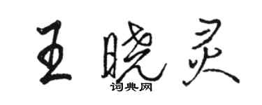 駱恆光王曉靈行書個性簽名怎么寫