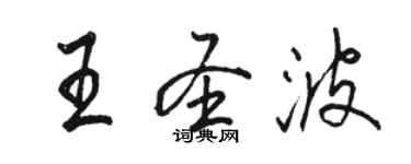 駱恆光王聖波行書個性簽名怎么寫