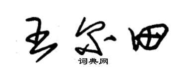 朱錫榮王爾田草書個性簽名怎么寫