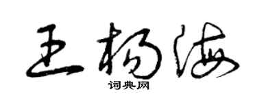 曾慶福王楊海草書個性簽名怎么寫