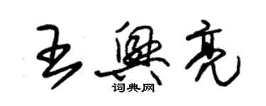 朱錫榮王興亮草書個性簽名怎么寫