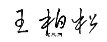 駱恆光王柏松草書個性簽名怎么寫