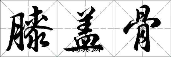 胡問遂膝蓋骨行書怎么寫