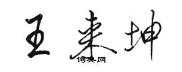 駱恆光王來坤行書個性簽名怎么寫