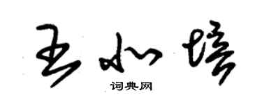 朱錫榮王北培草書個性簽名怎么寫