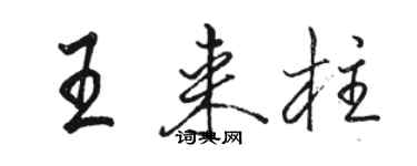 駱恆光王來柱行書個性簽名怎么寫