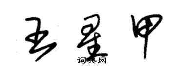 朱錫榮王星甲草書個性簽名怎么寫