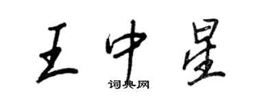 王正良王中星行書個性簽名怎么寫