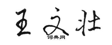 駱恆光王文壯行書個性簽名怎么寫