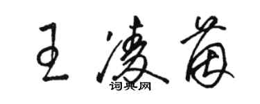 駱恆光王凌茵草書個性簽名怎么寫