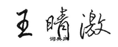 駱恆光王晴激行書個性簽名怎么寫