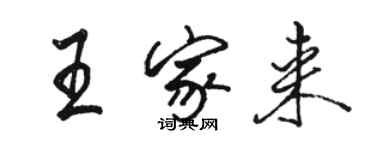 駱恆光王家來行書個性簽名怎么寫