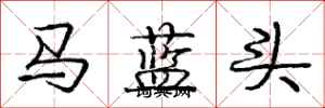 龐中華馬藍頭行書怎么寫