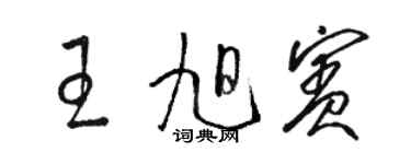 駱恆光王旭賓草書個性簽名怎么寫