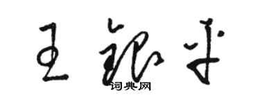 駱恆光王銀平草書個性簽名怎么寫