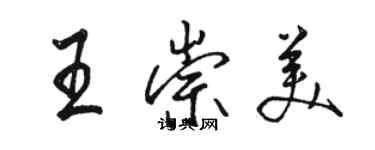 駱恆光王崇美行書個性簽名怎么寫